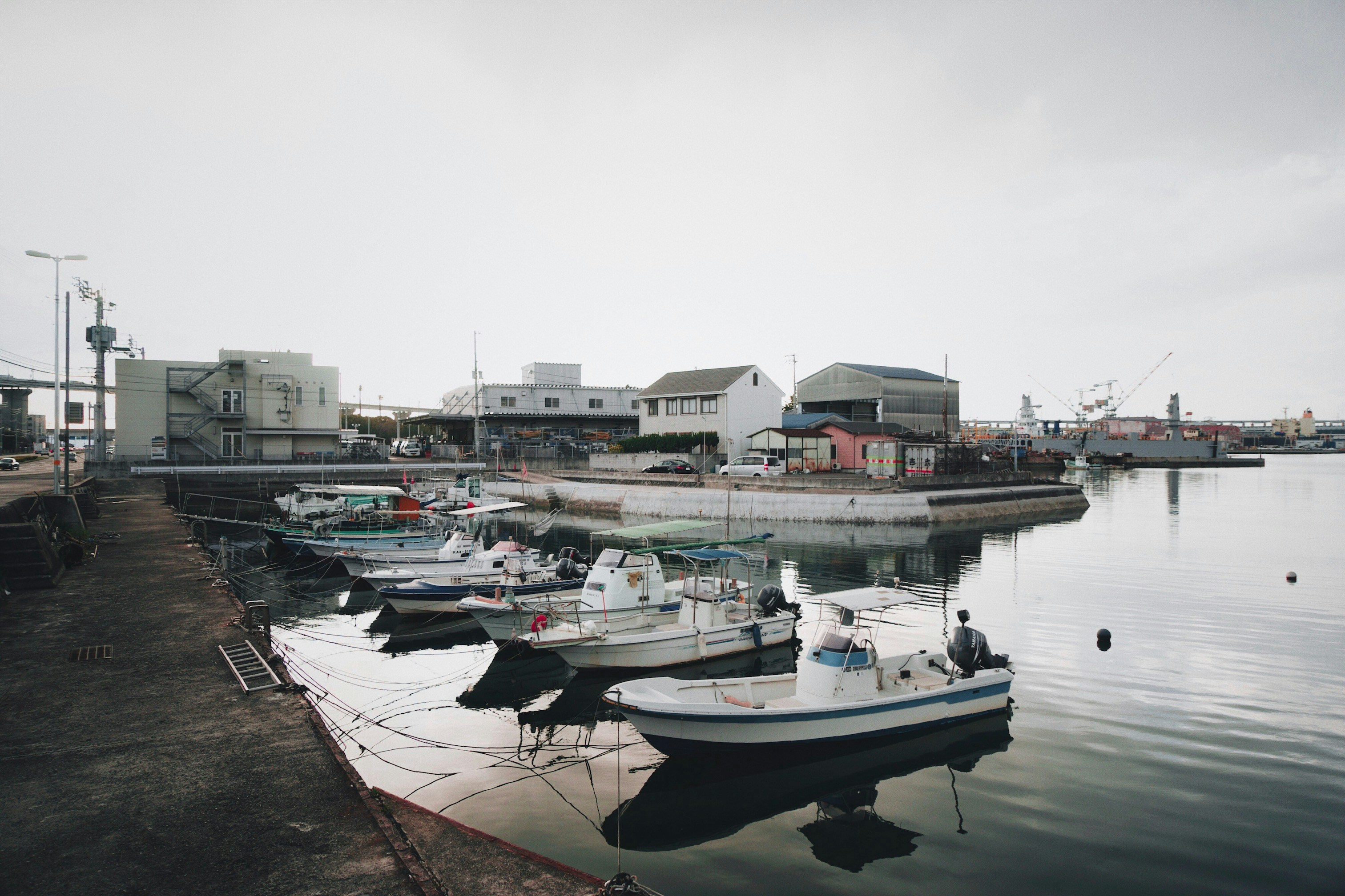 Photo by geralddicen