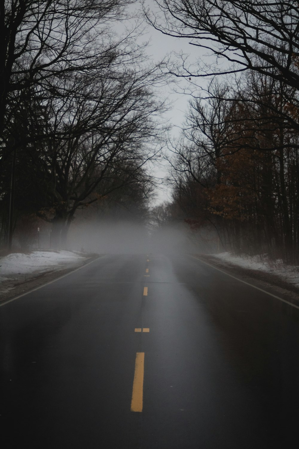 foggy road