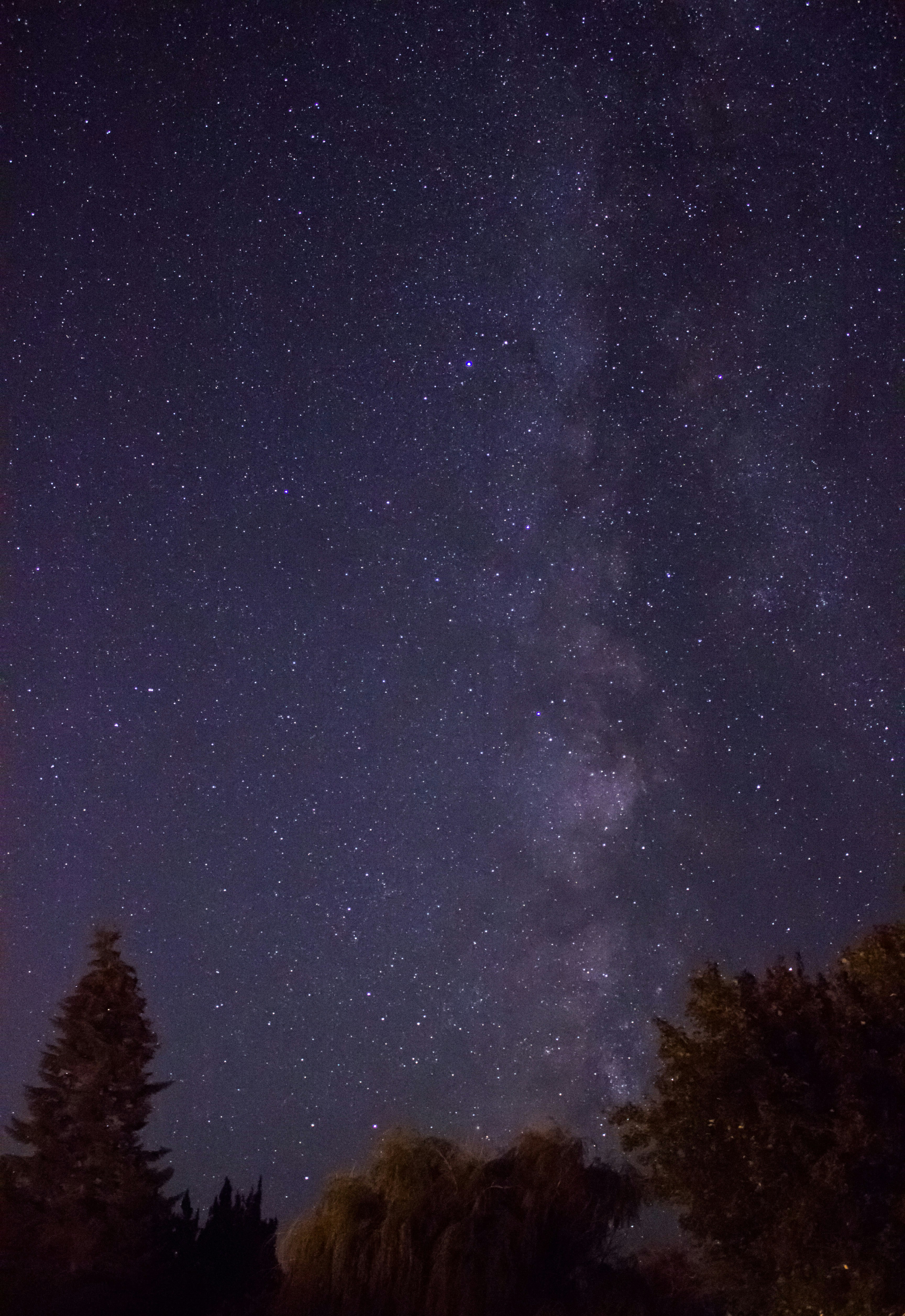 星がいっぱいの夜空の写真 Unsplashで見つけるグレーの無料写真
