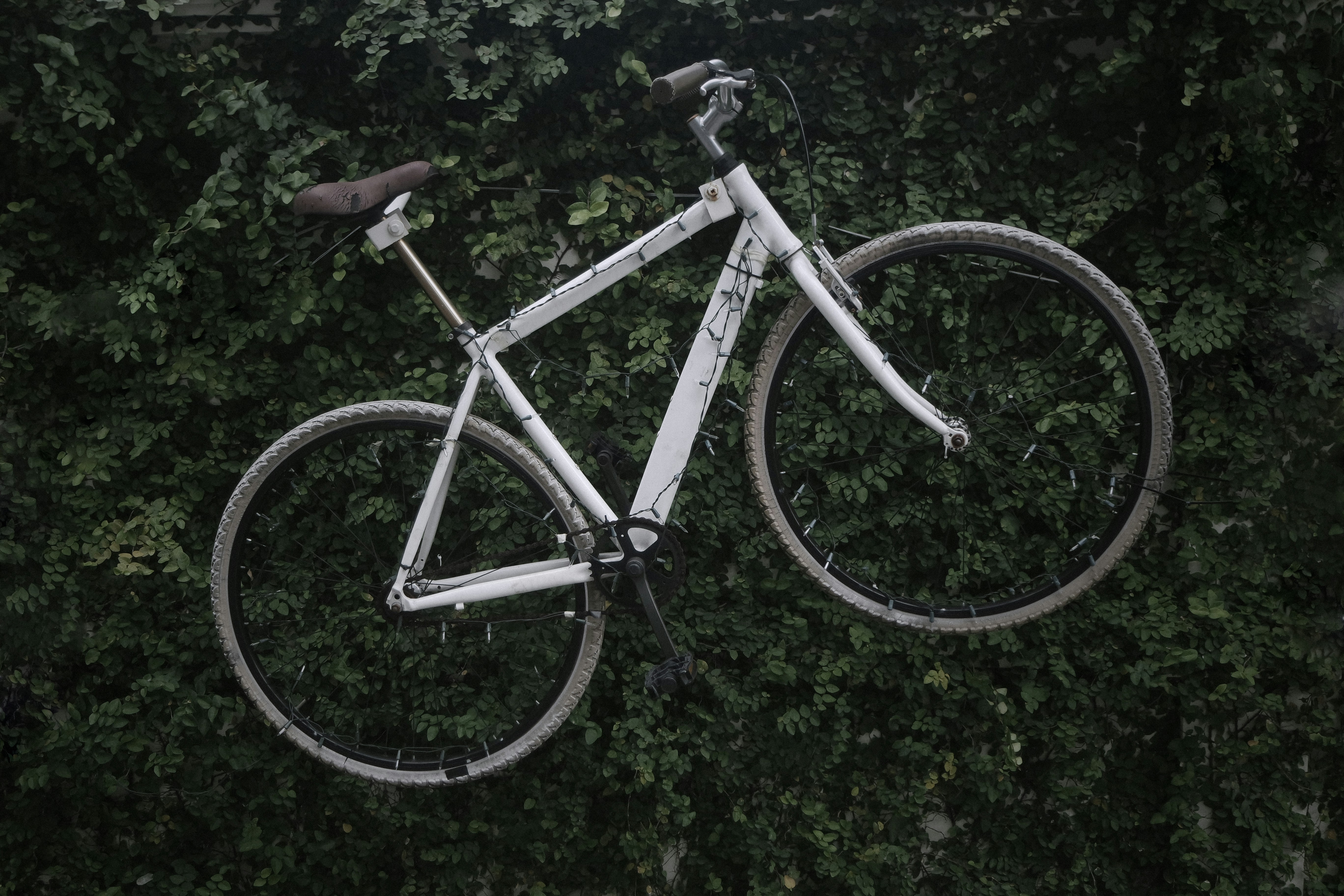 white bicycle on green plants