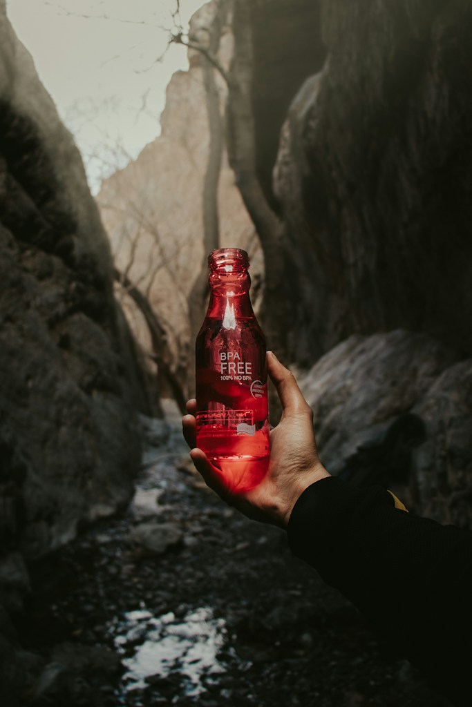 Insulated Travel Bottle
