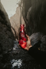 A hand holding a translucent red bottle labeled 'BPA Free' against a rugged outdoor background featuring rocky walls and sparse, leafless trees. The lighting creates a warm, glowing effect on the bottle.