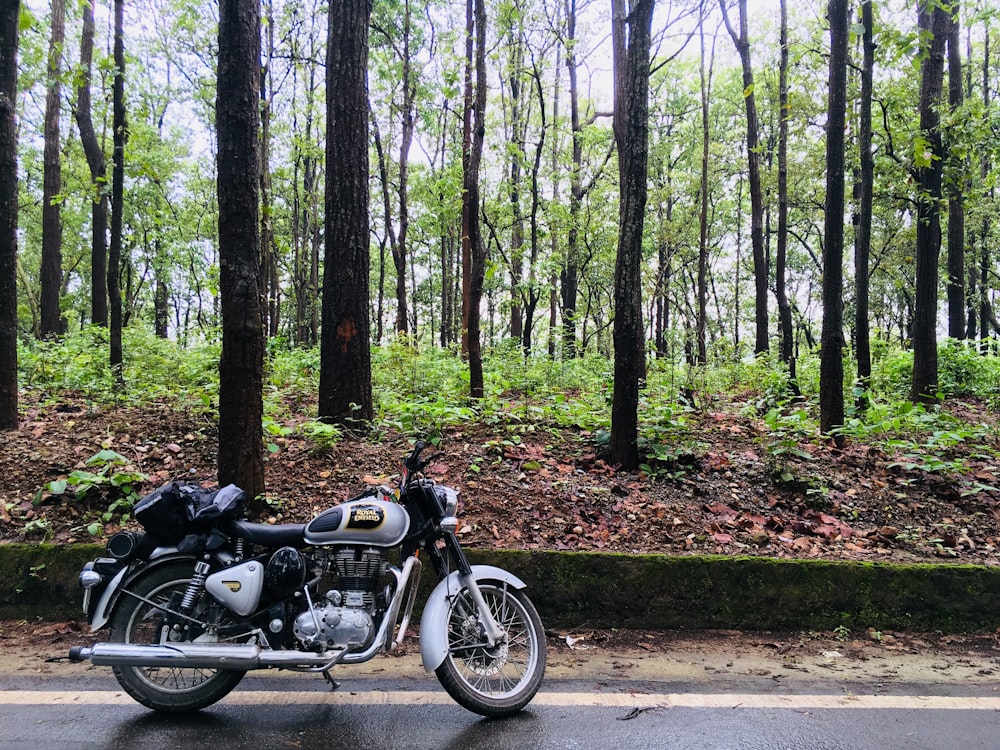 standard motorcycle parked along road near forest trees
