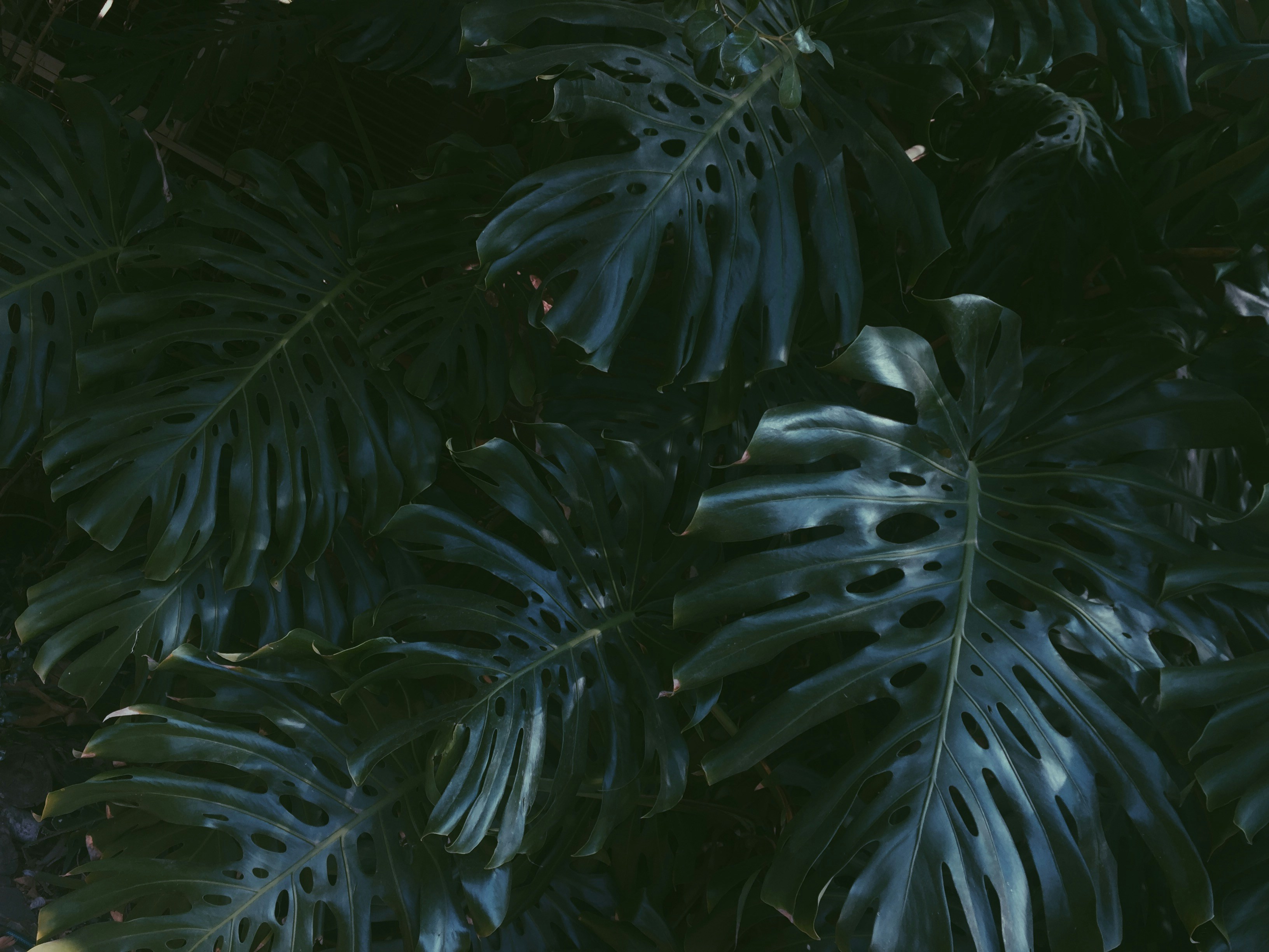 Photo by violetgr33n_