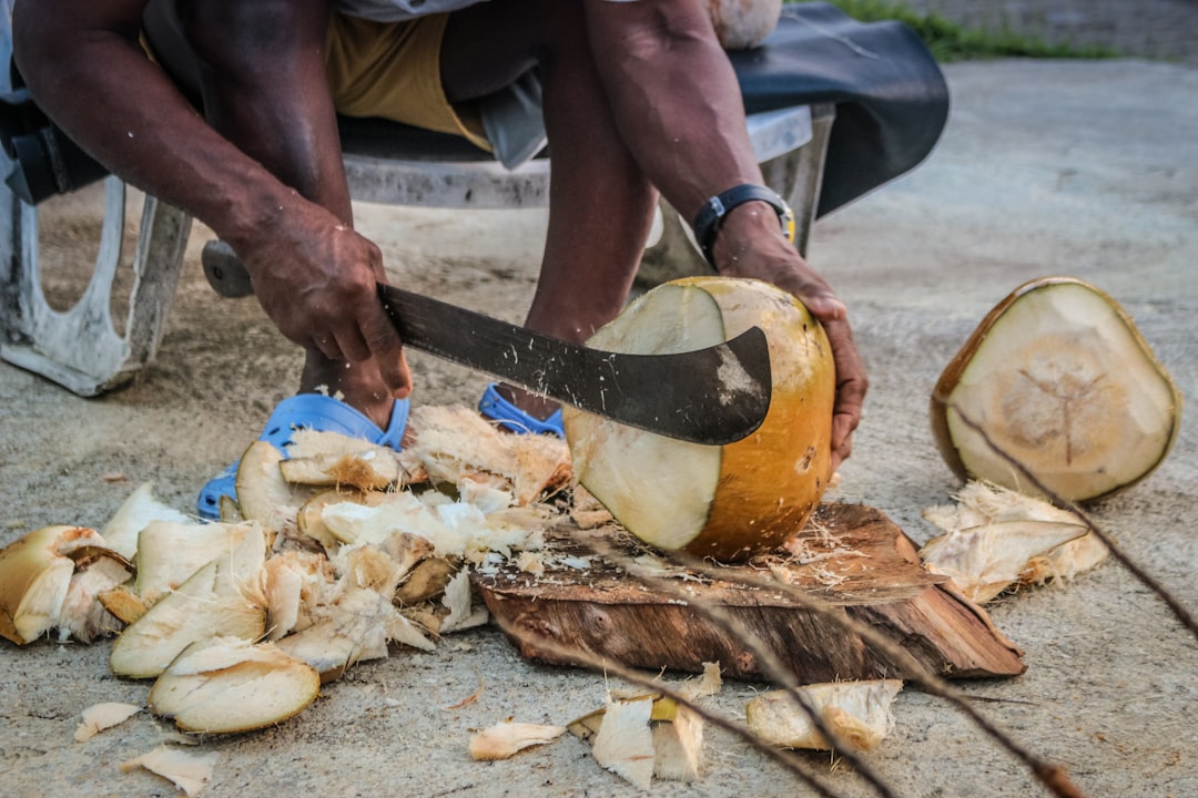 Que faire en Martinique ?