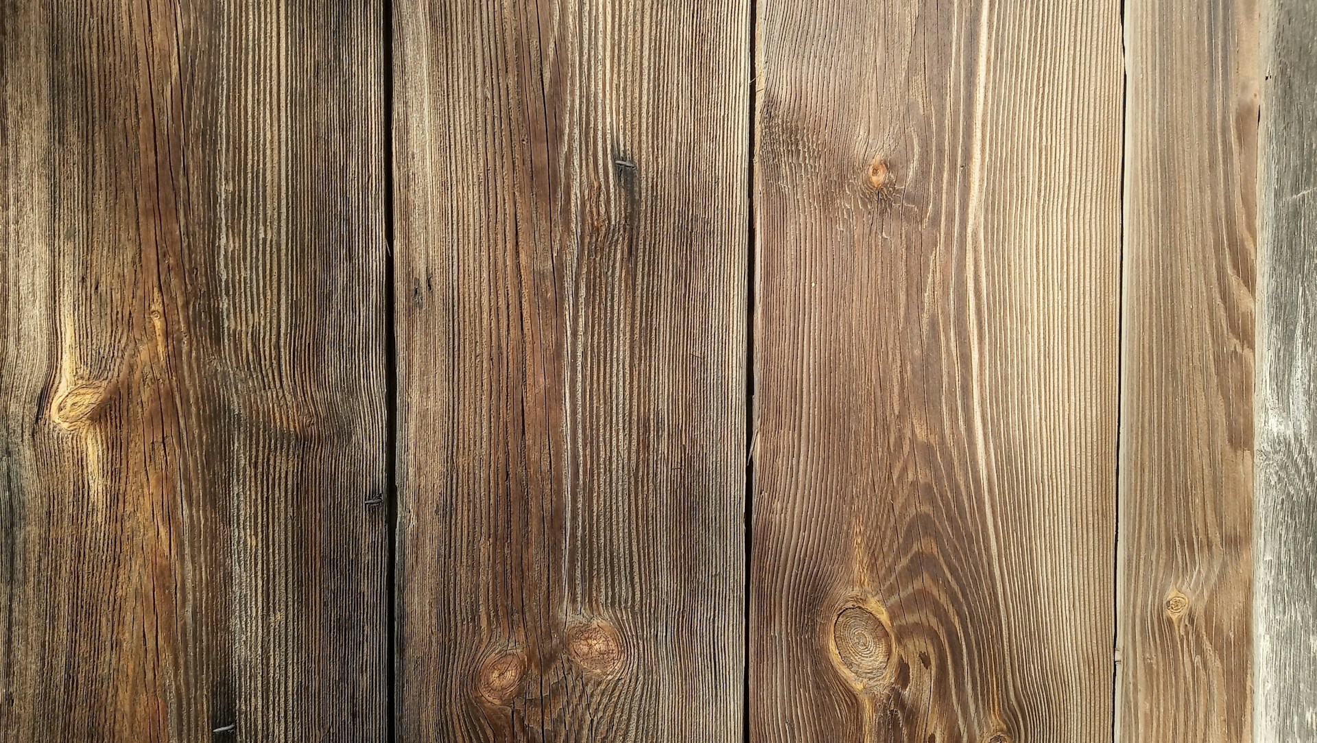 gray computer monitor