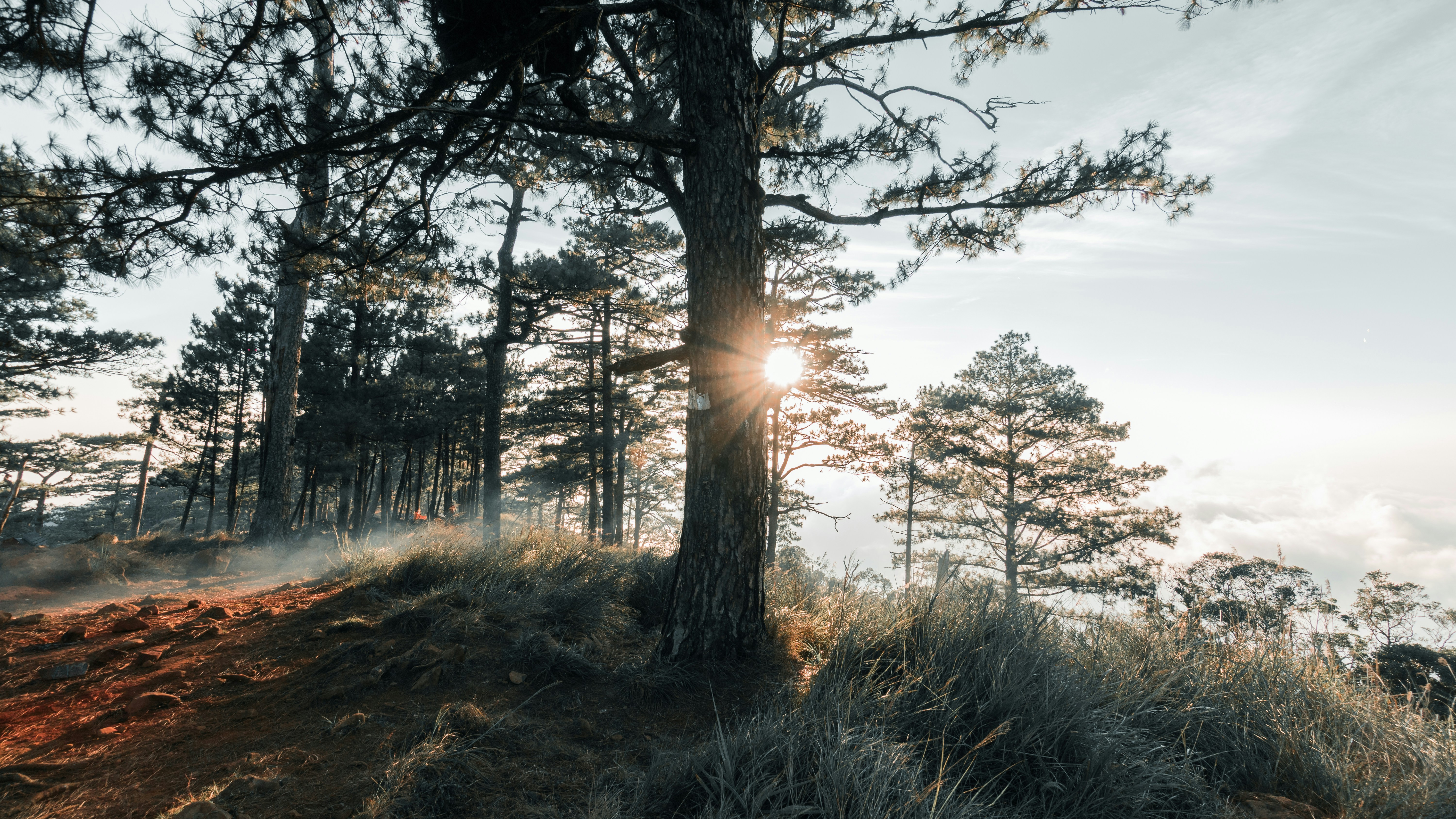 Широкоугольное фото на мобильный (рыбий глаз)