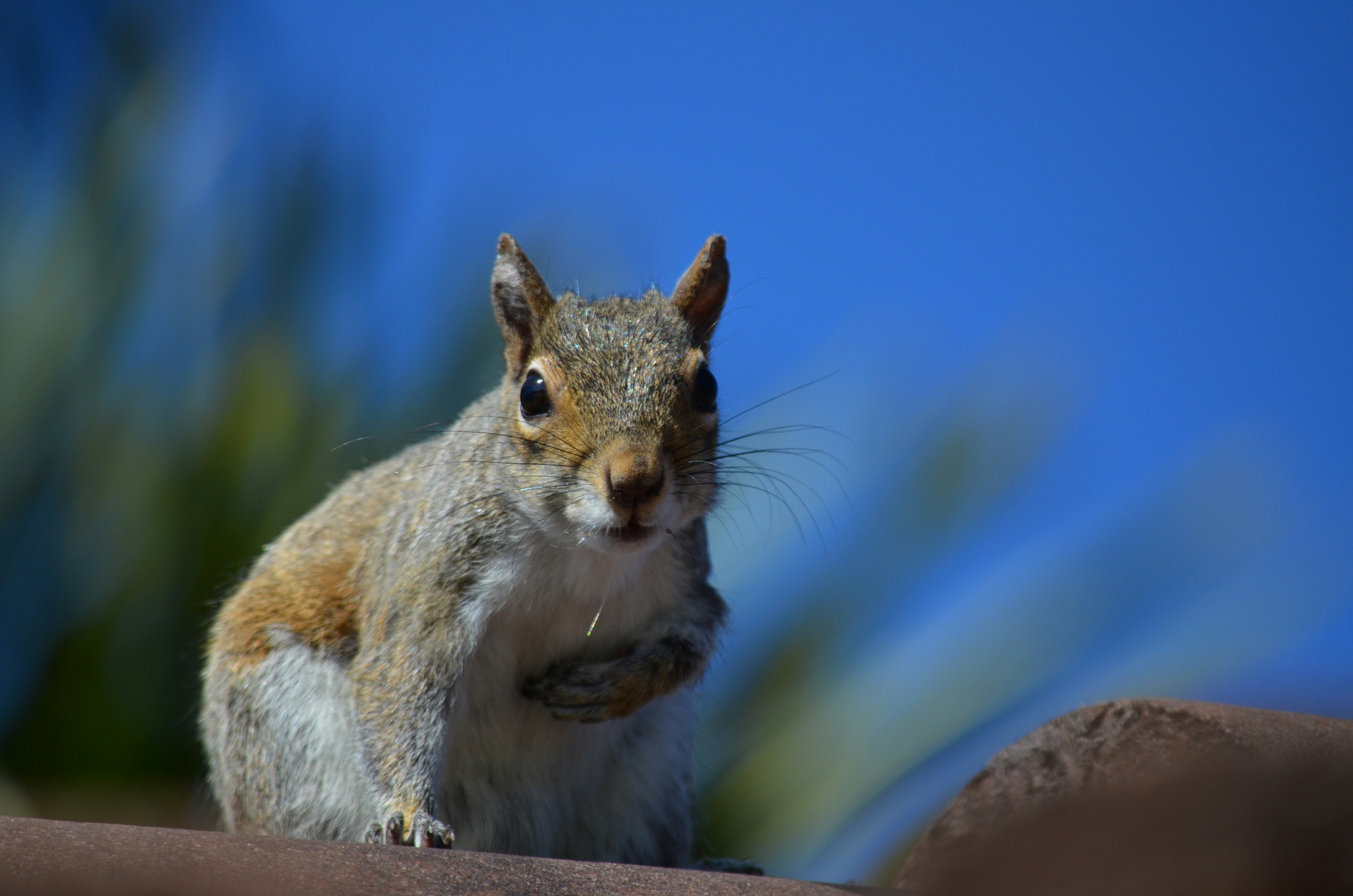 Photo by tschultz913