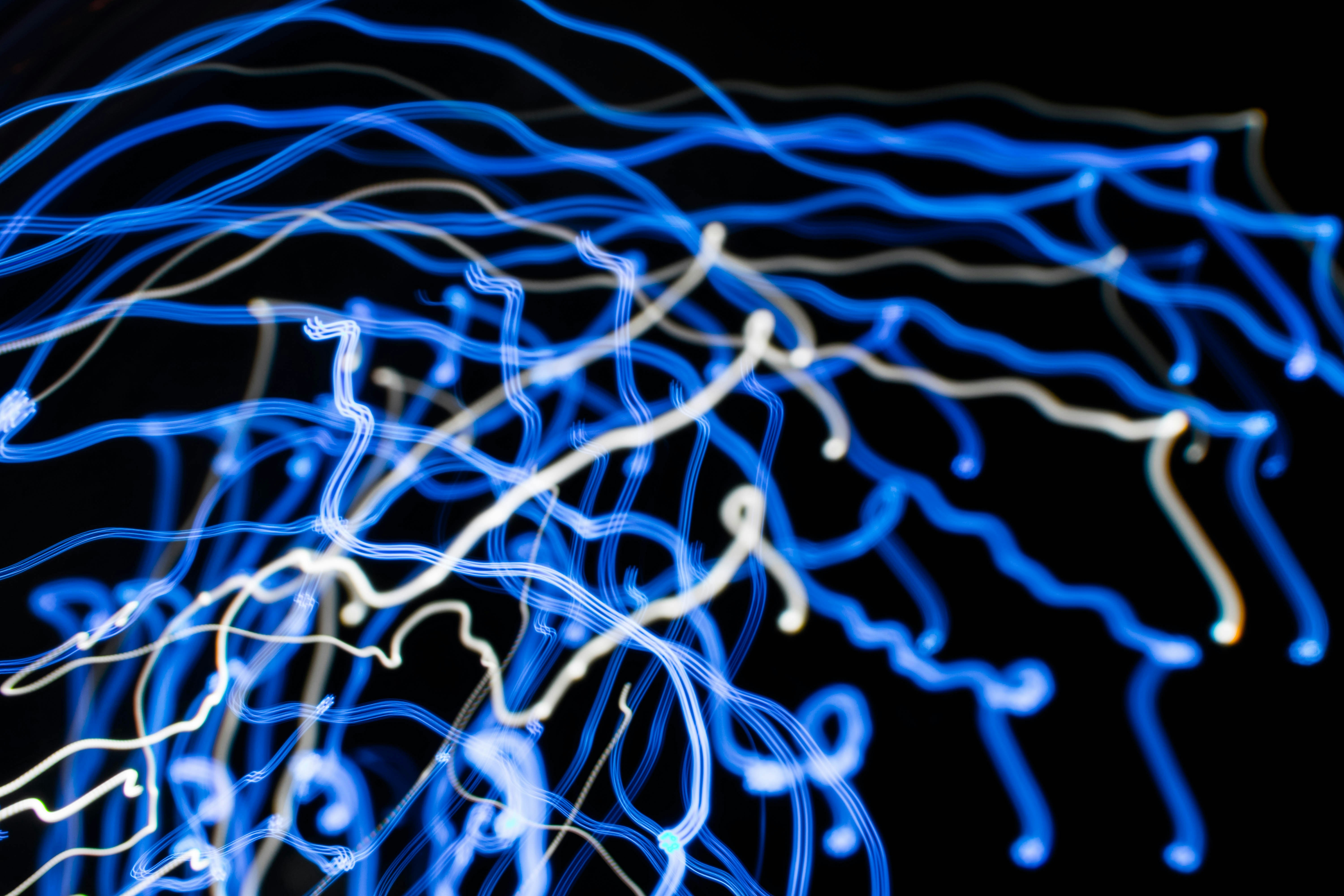 Photo by rafael_ishkhanyan