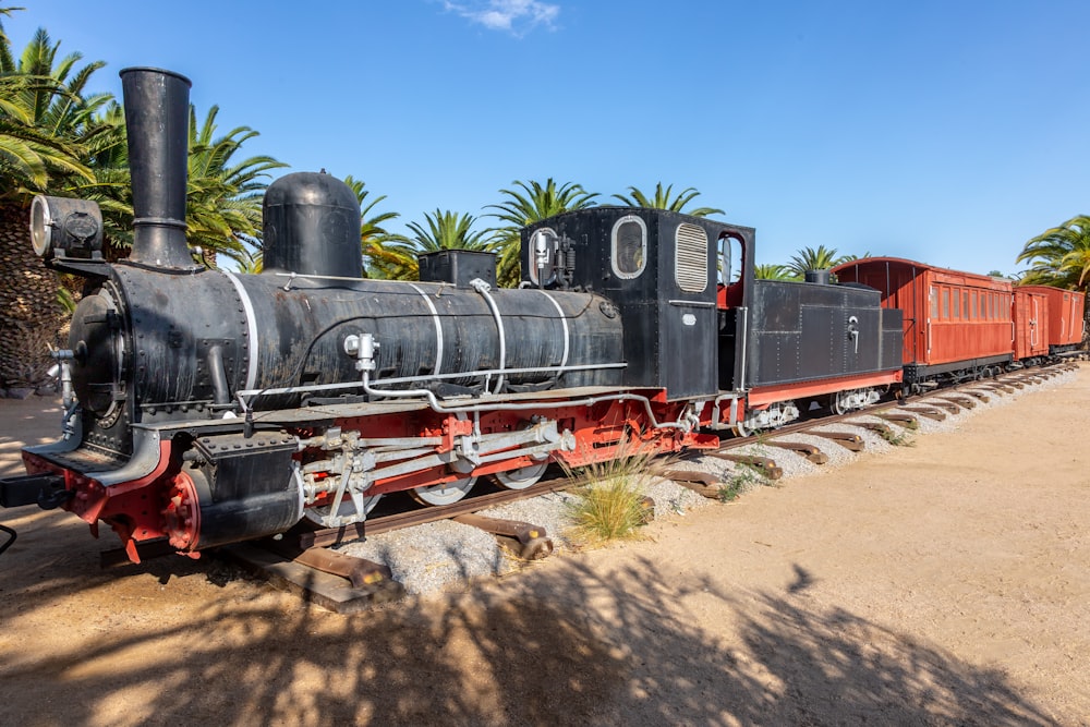 black and brown train