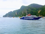 A large blue and white yacht is sailing on calm waters near a scenic coast. The coastline is lined with lush green cliffs and smaller boats are visible in the distance. The sky is overcast, contributing to a serene atmosphere.