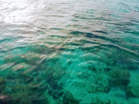 Clear turquoise water reveals an underwater view with visible rocks and coral formations. The gentle surface ripples create a calming and serene atmosphere, indicative of a quiet, natural environment.