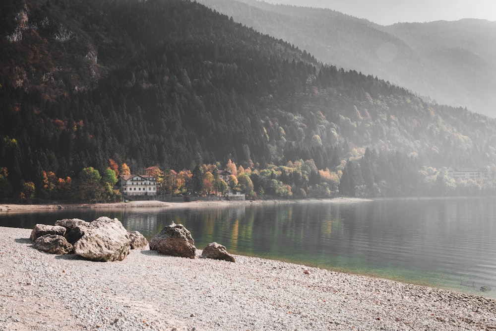 body of water during daytime