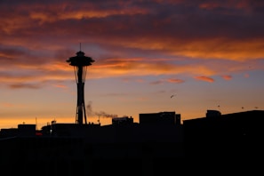 A silhouette of a civilization rising against a brightening sky, embodying resilience.