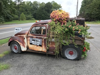 An old, rusty car parked on the side of the road is creatively transformed into a mobile garden, with lush greenery and colorful flowers spilling over the bed and roof. Wooden panels hold potted plants, while a sign on the door advertises a company. The tire appears flat, and the car's overall appearance is weathered, blending with the surrounding greenery of trees and grass.
