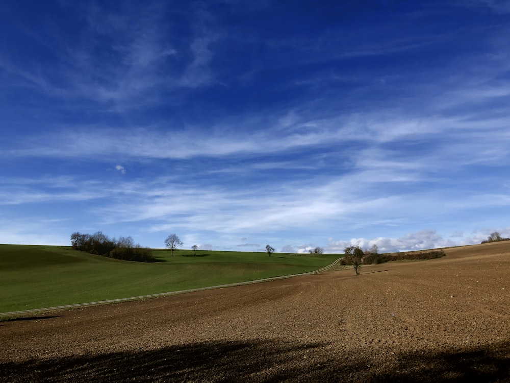 brown and green field during daytime