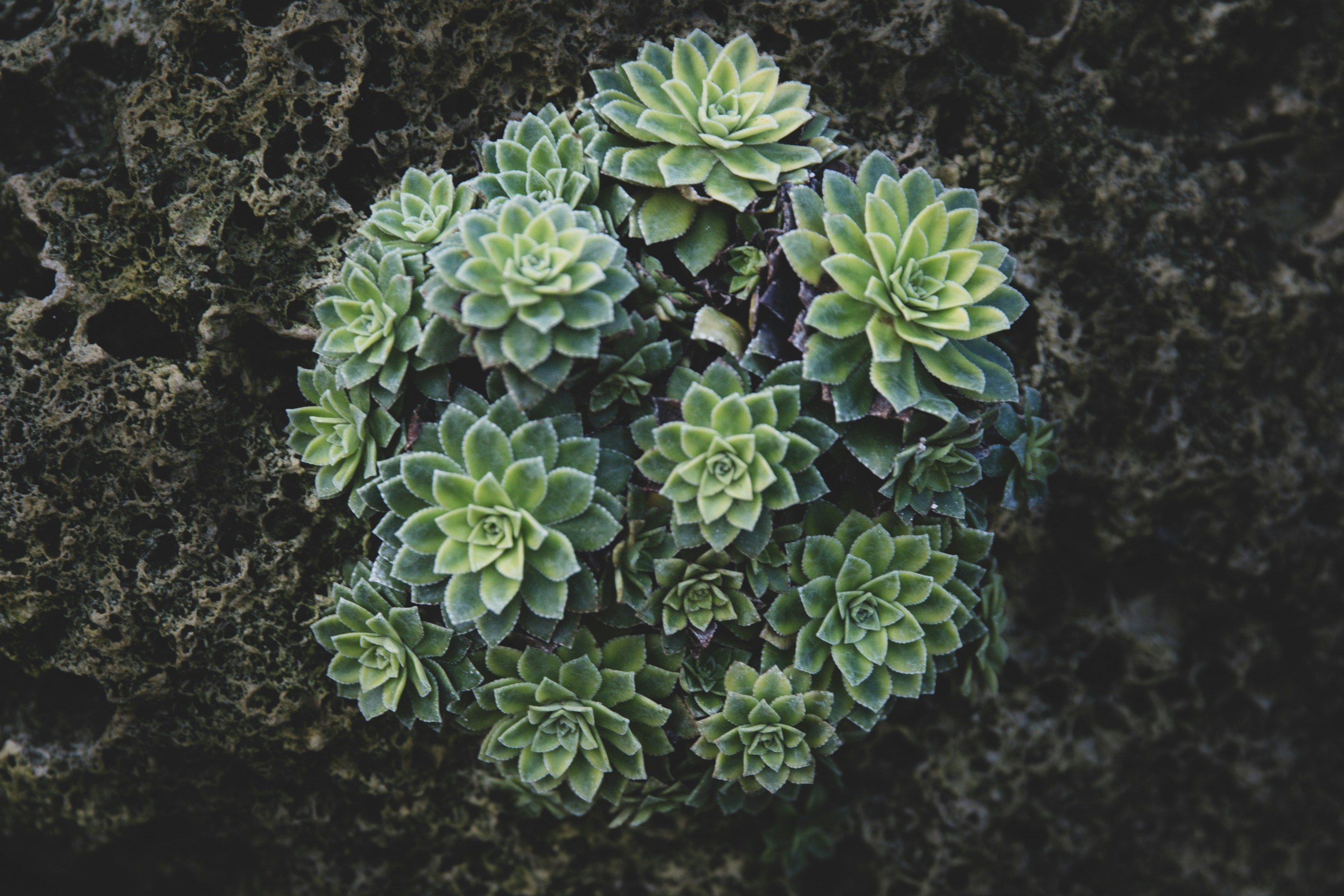 Photo by blackprojection