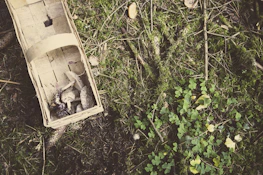 A rustic wooden basket filled with assorted farm products sitting on mossy ground.