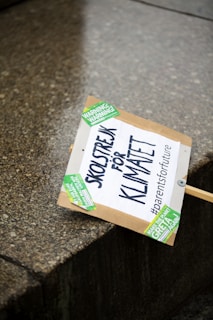 A protest sign is laying on a stone surface. The sign has text in a mix of Swedish and English that reads 'SKOLSTREJK FÖR KLIMATET' along with '#parentsforfuture'. It includes green stickers with messages like 'WARNING WARNING!' and 'MAKE THE PLANET GREEN AGAIN!'.