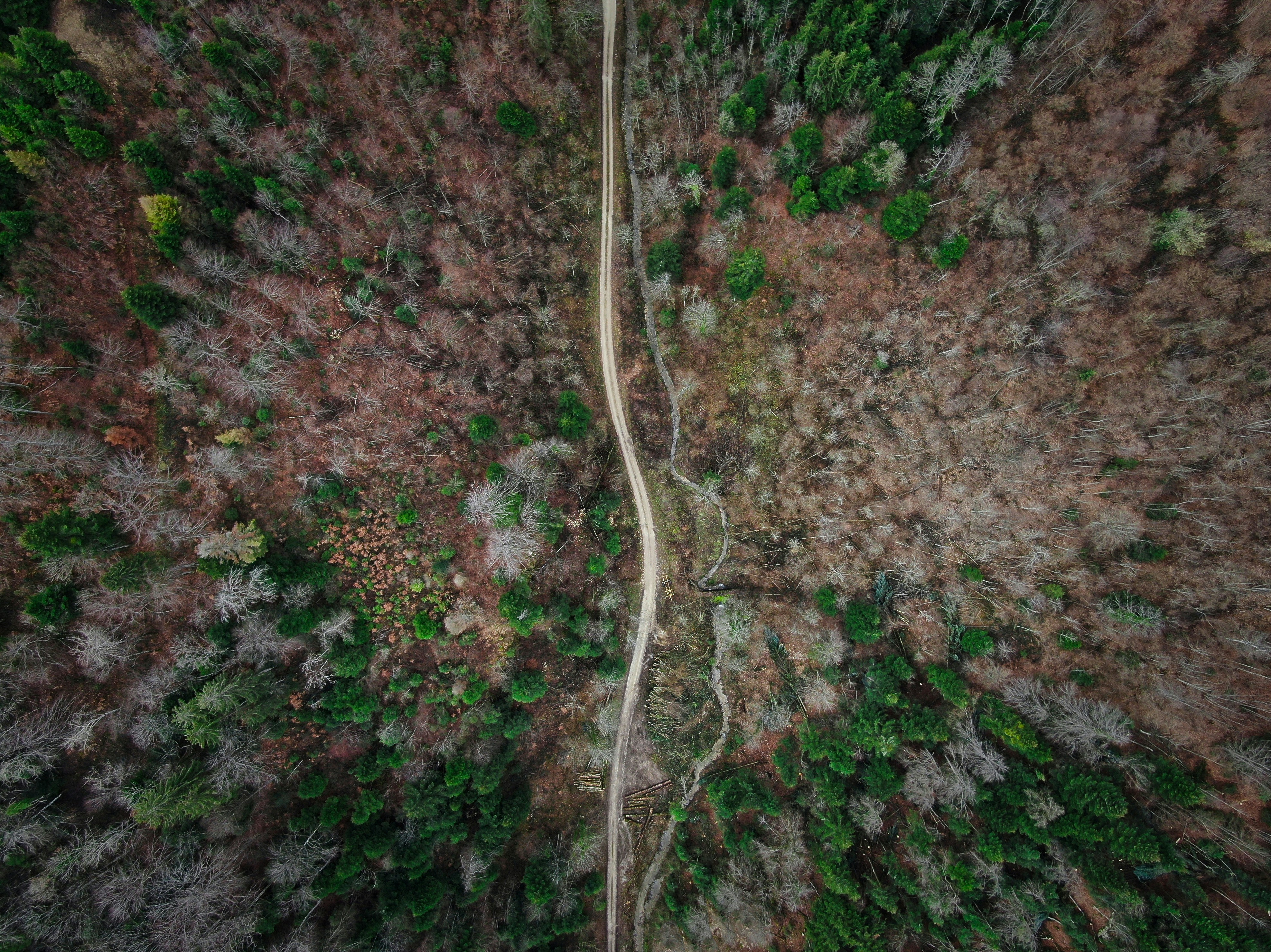 Photo by nathan030997