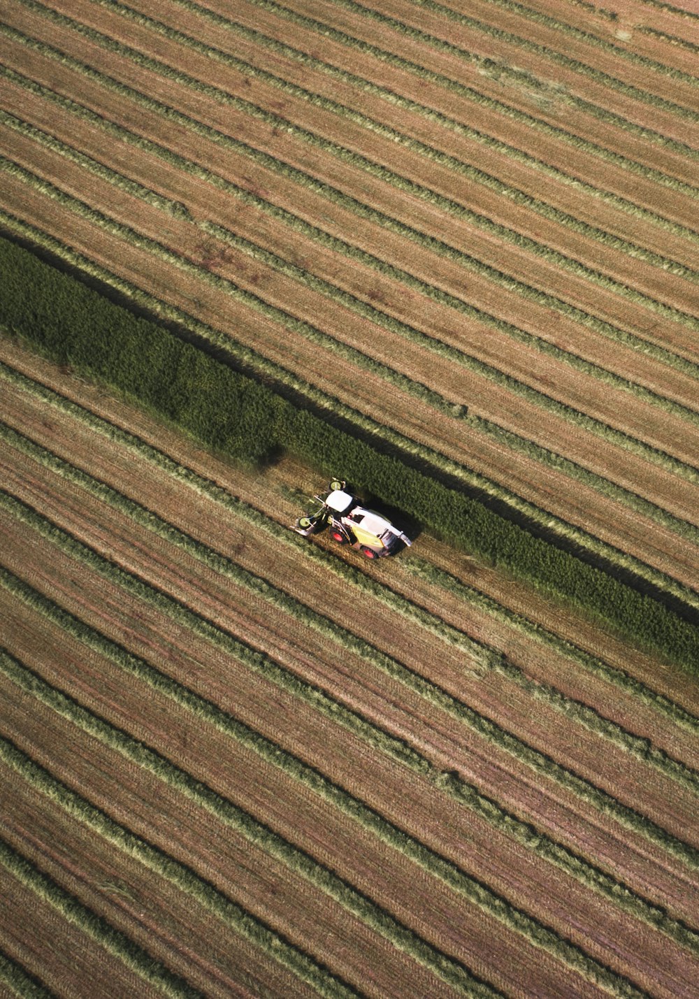 bird's-eye photography of white vehicle