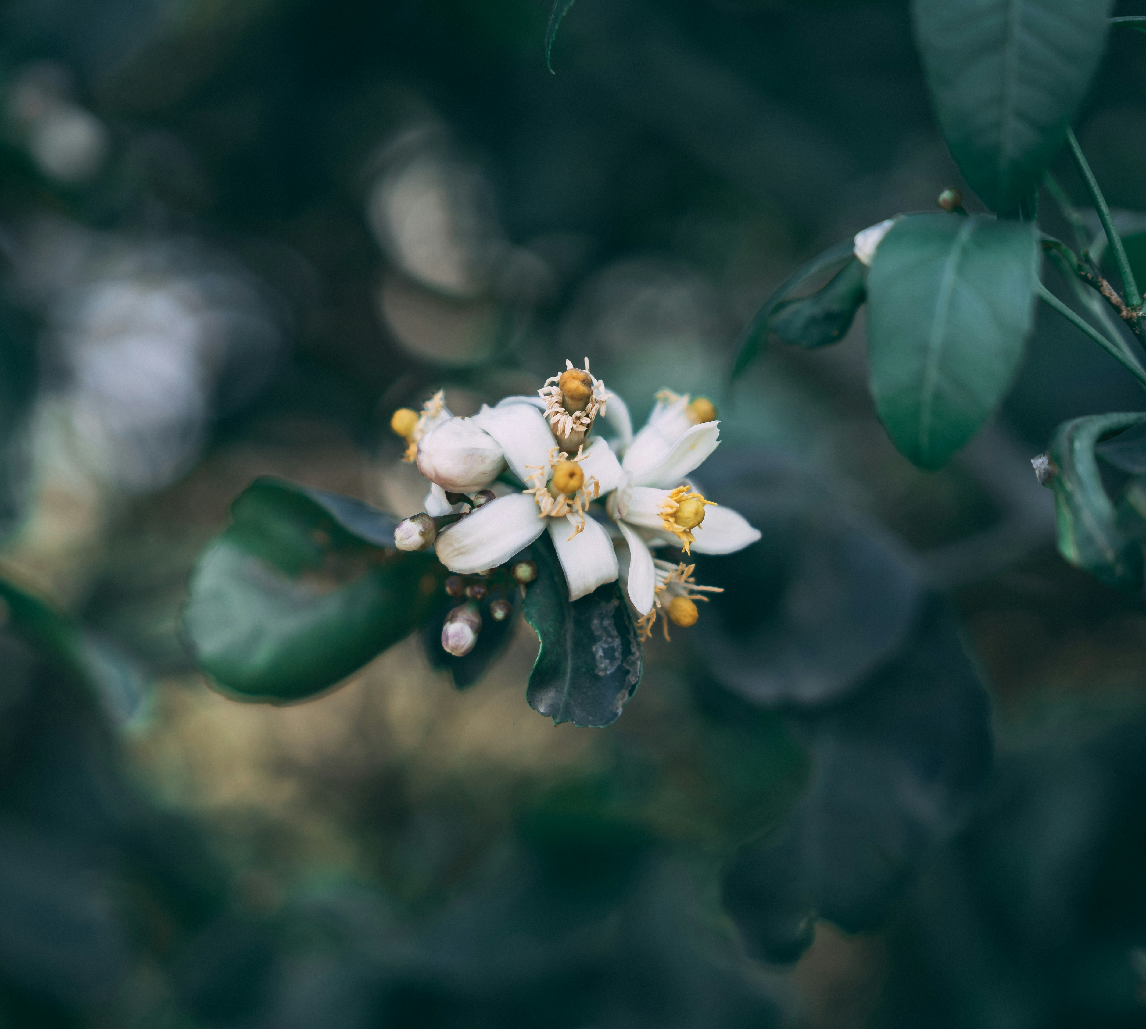 Photograph by Ashwini Chaudhary