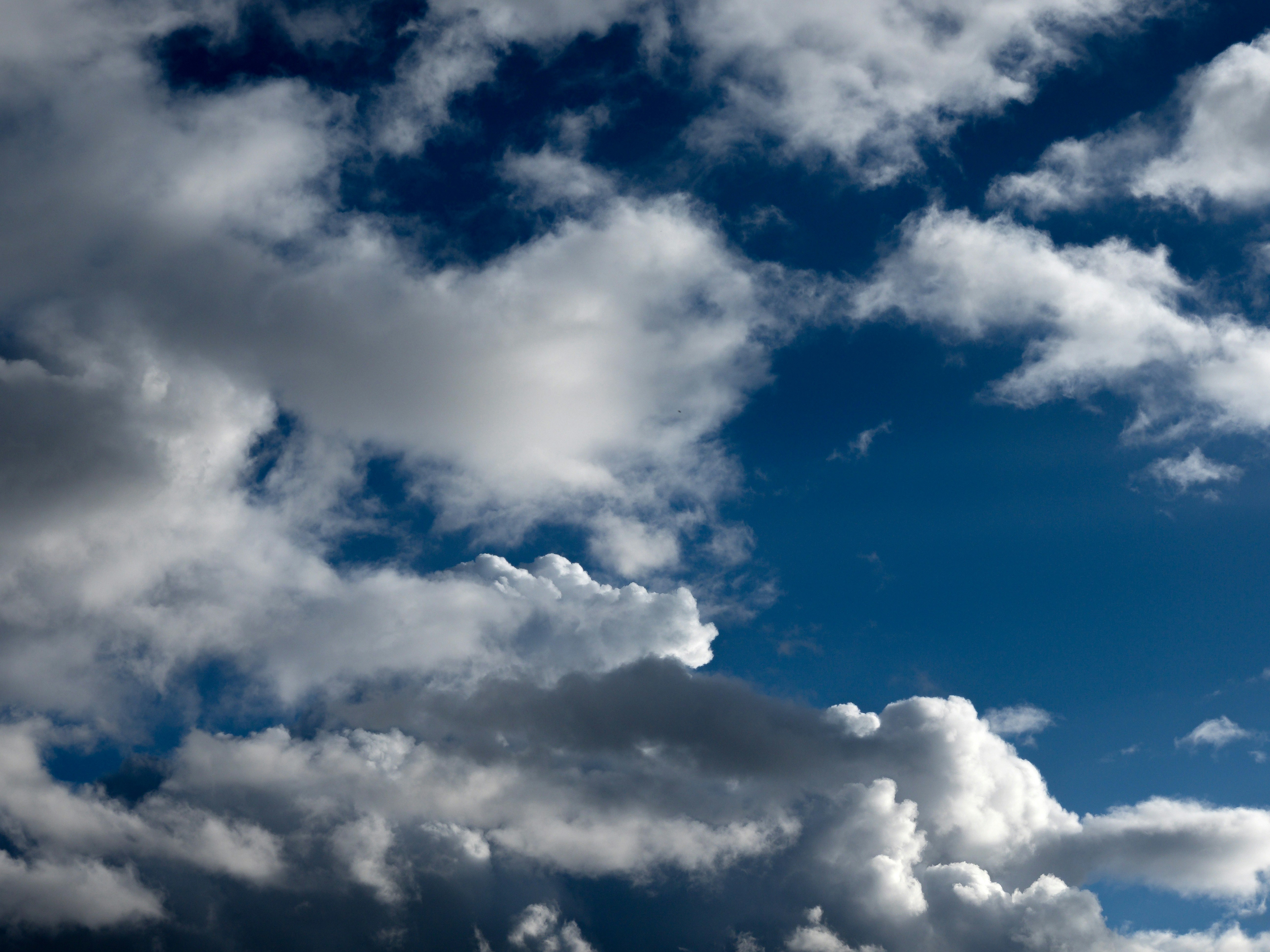 Photo by brett_jordan