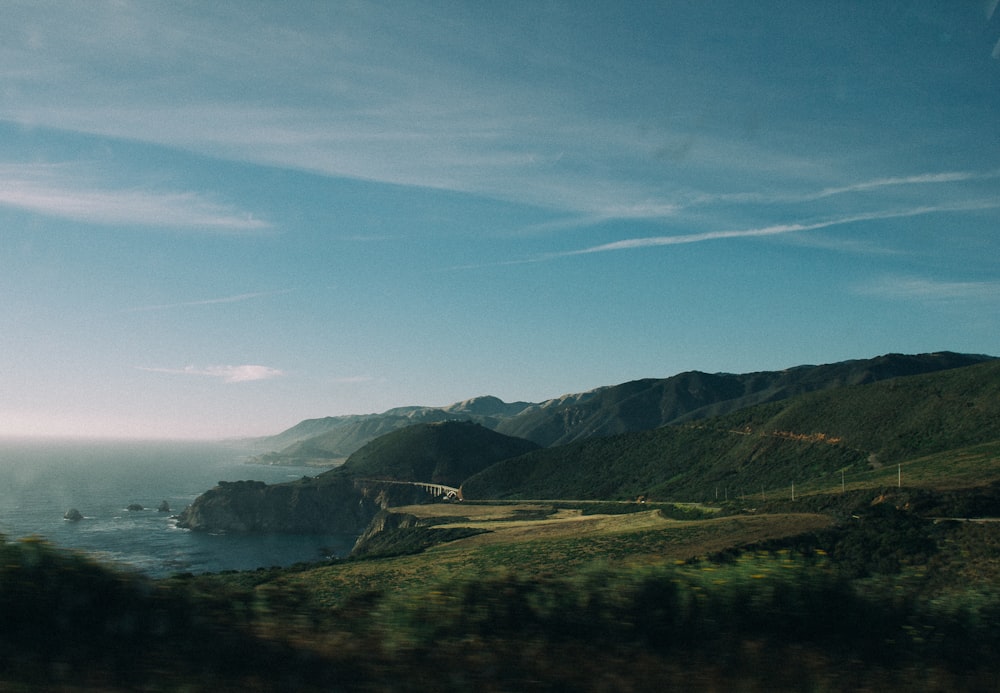 paisagem da grama verde