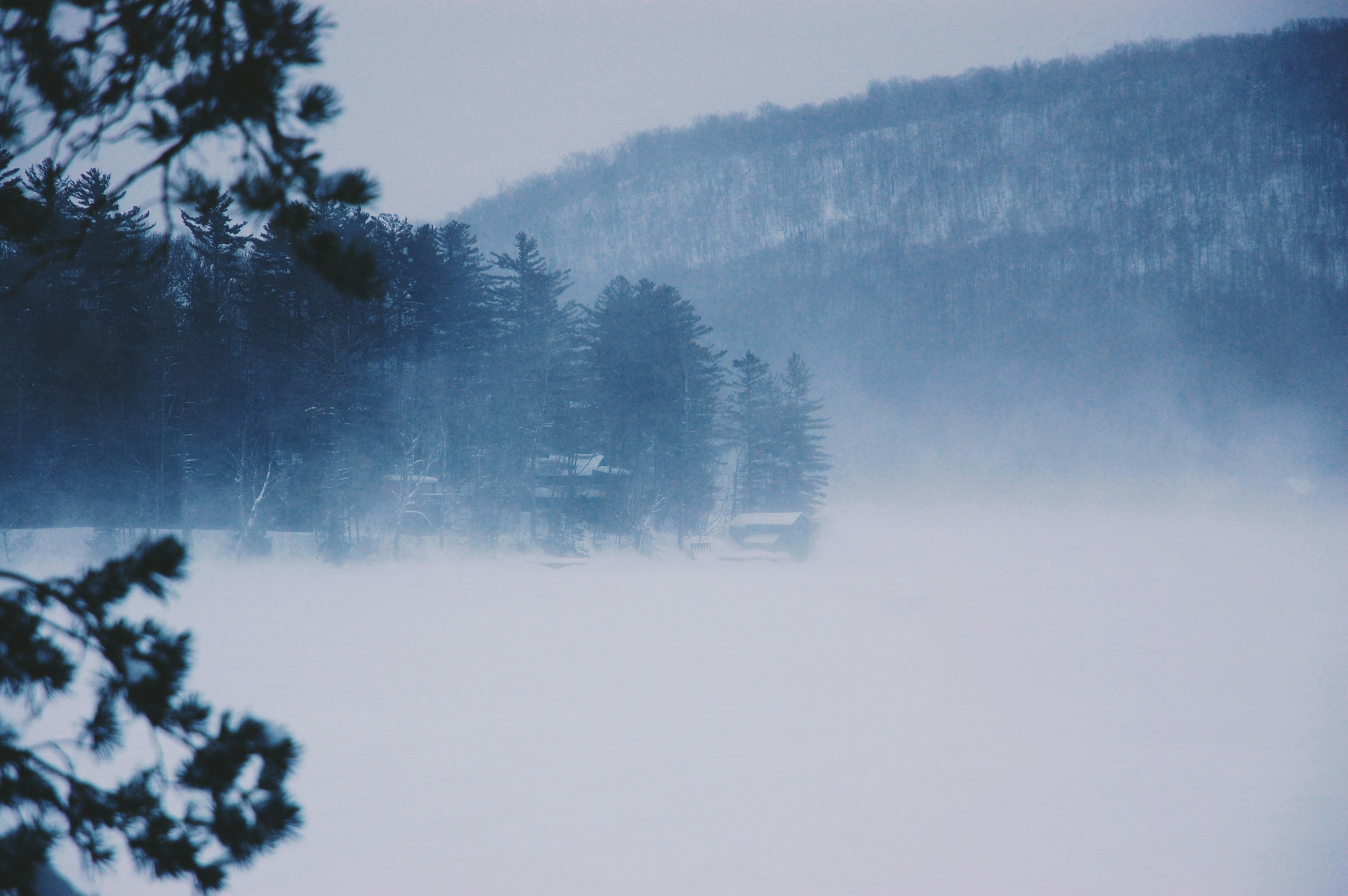 Photo by john_silliman