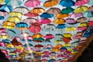 umbrella roof
