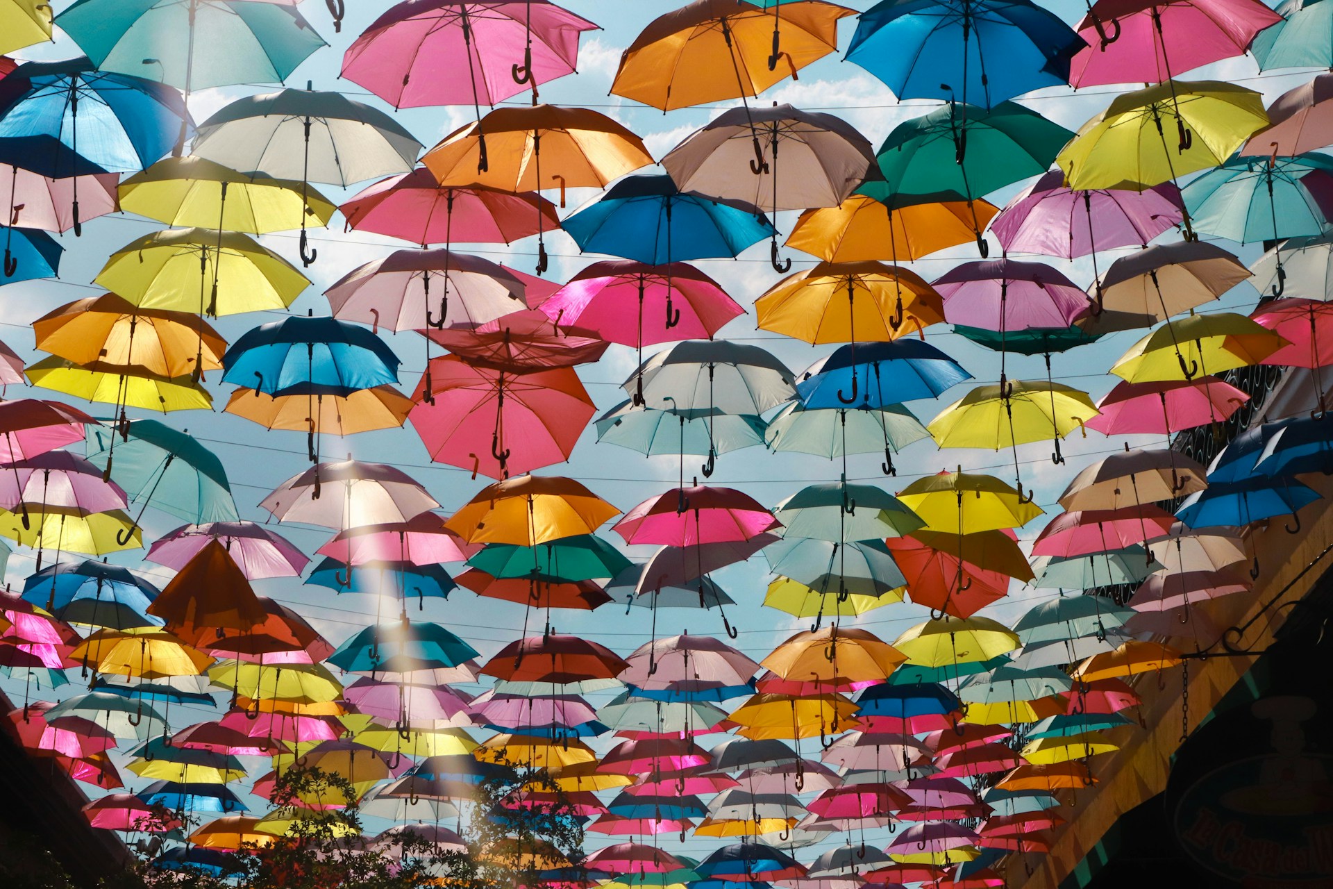 umbrella roof