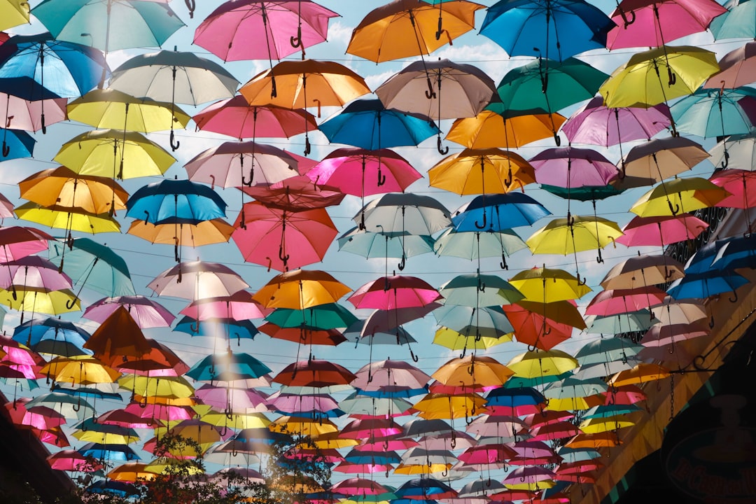 umbrella roof,