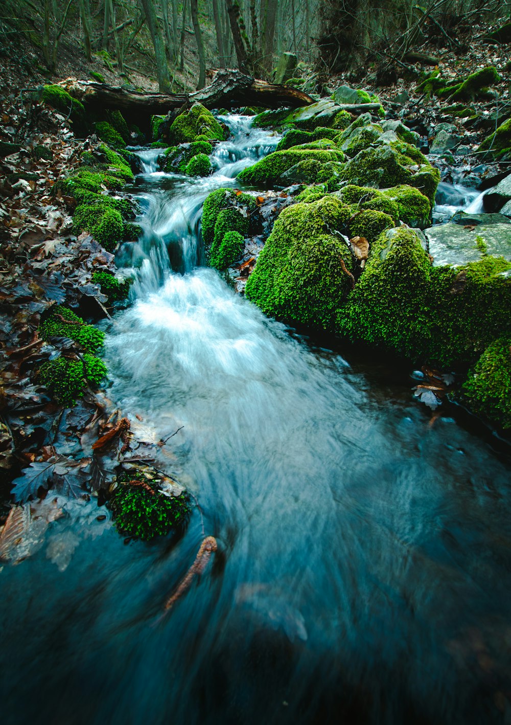 river during daytime photo