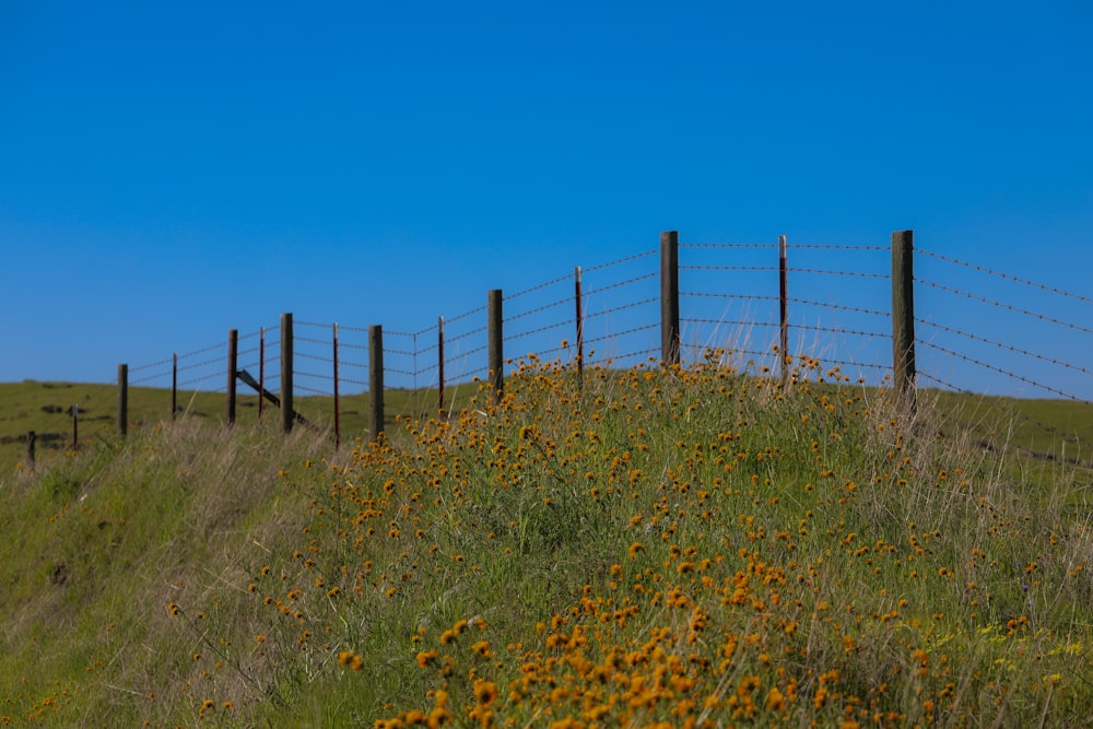 brown wooden and barded wire fence