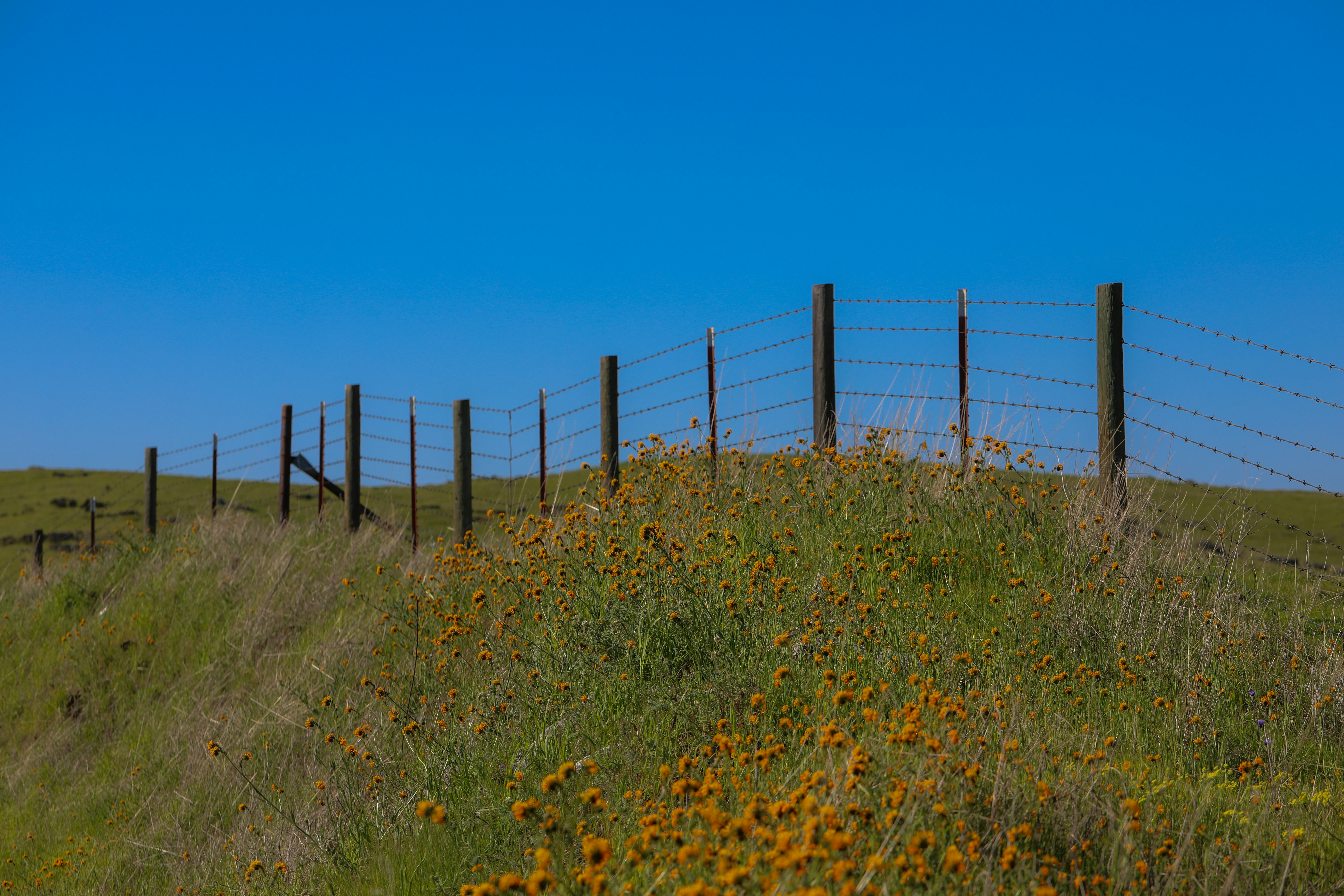 brown wooden and barded wire fence