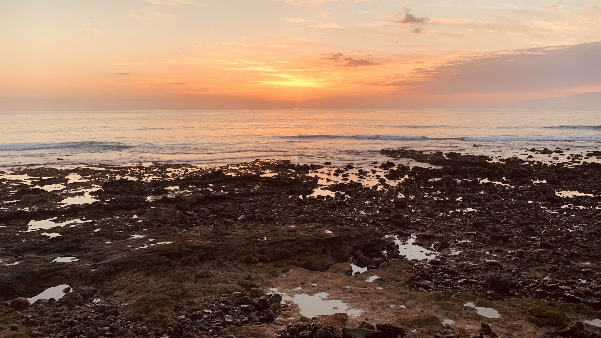 Playa de las Américas