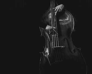 A close-up, black-and-white photograph of a person playing an upright bass. The focus is on the person's hands as they pluck the strings. The dark background adds a dramatic contrast to the image.