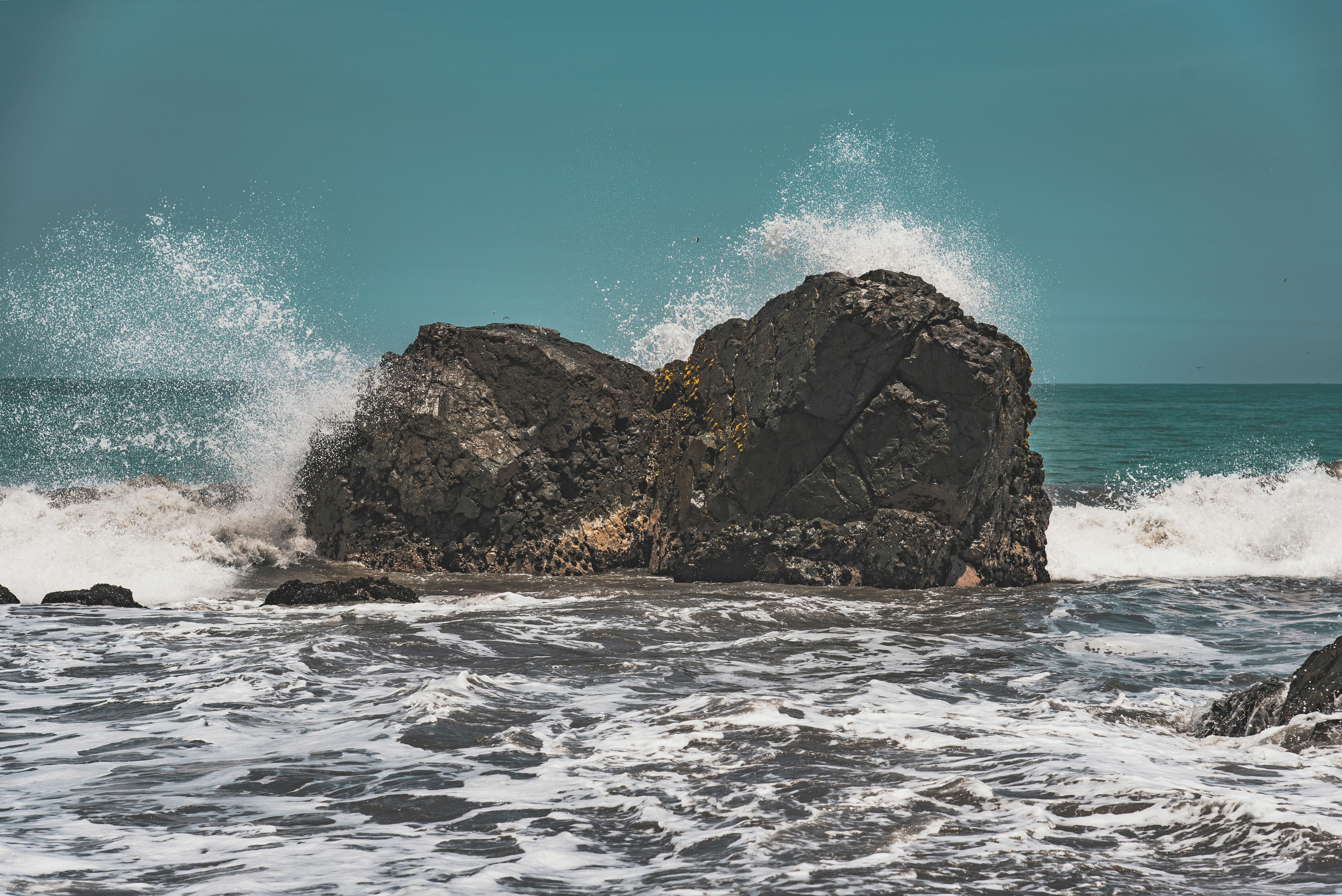 Photo by kenny_lescano