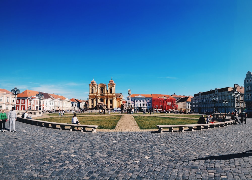 people walking on park during daytime