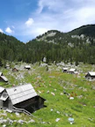 houses on green grass field