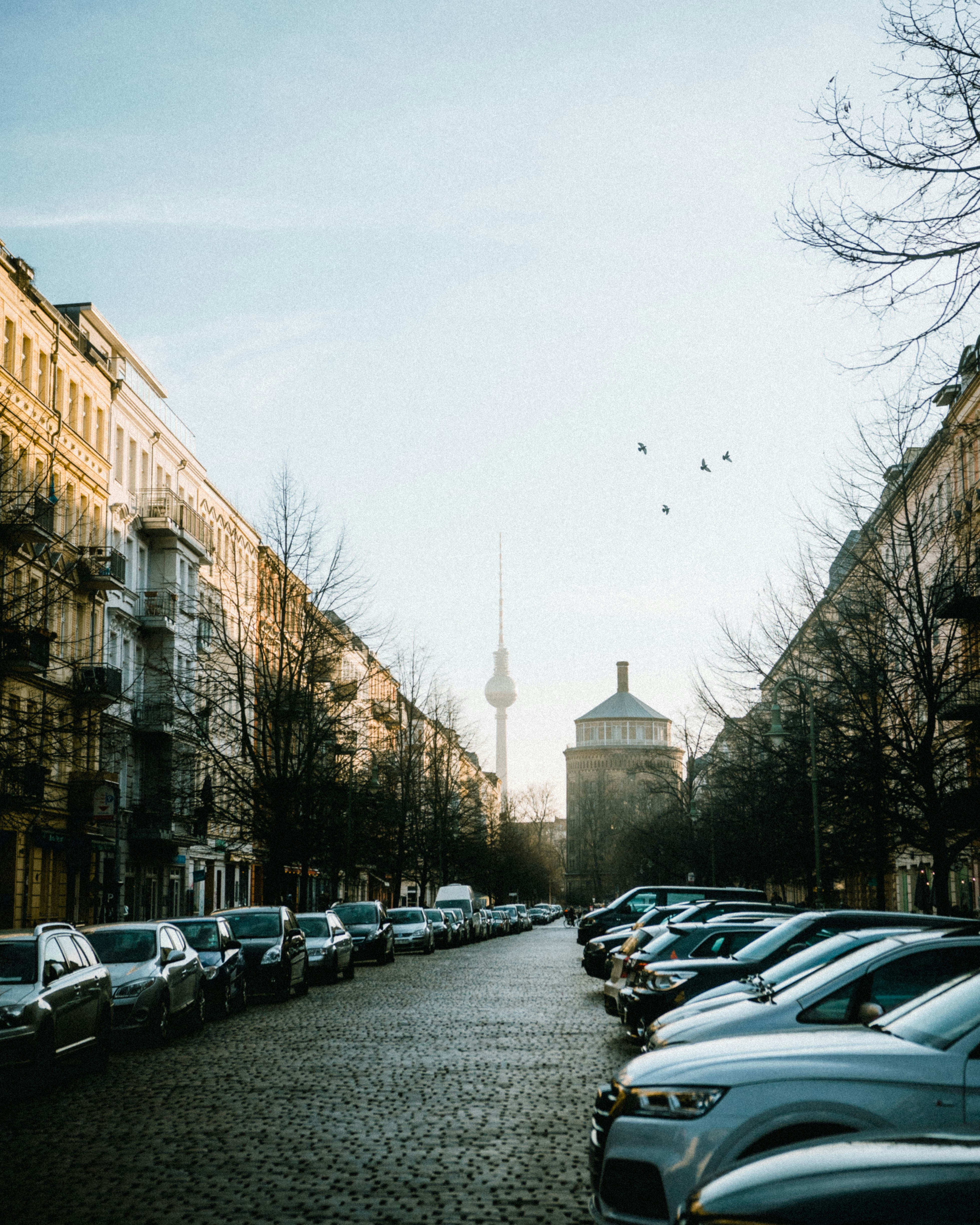 Photo by flemmingfuchs