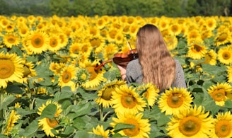 Rachel Groves playing a golden harp in a sunlit garden, surrounded by blooming flowers.