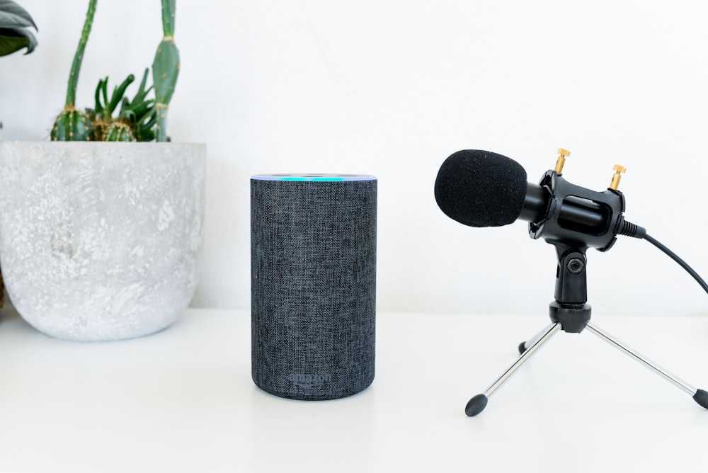 Amazon Echo near dynamic microphone