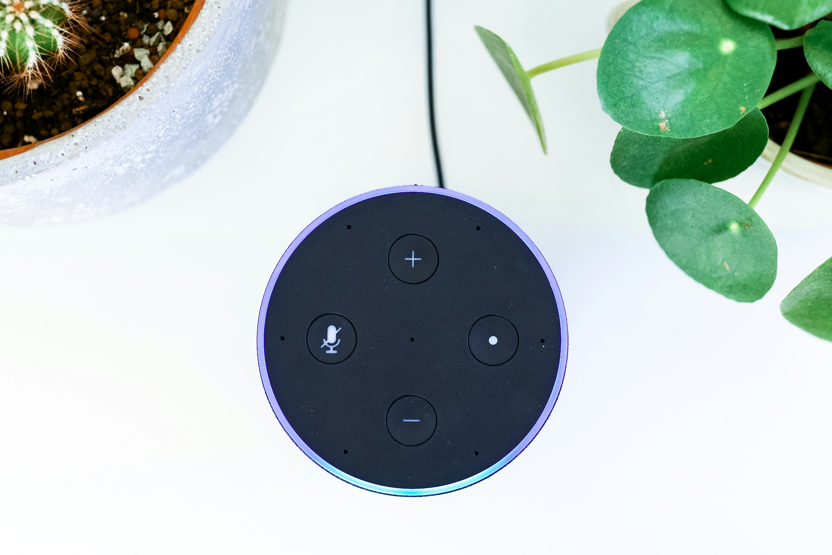 Black Amazon Echo Dot photo Free Grey Image on Unsplash
