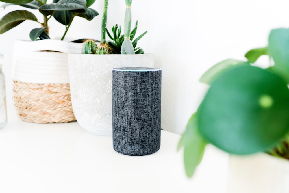 Amazon Echo