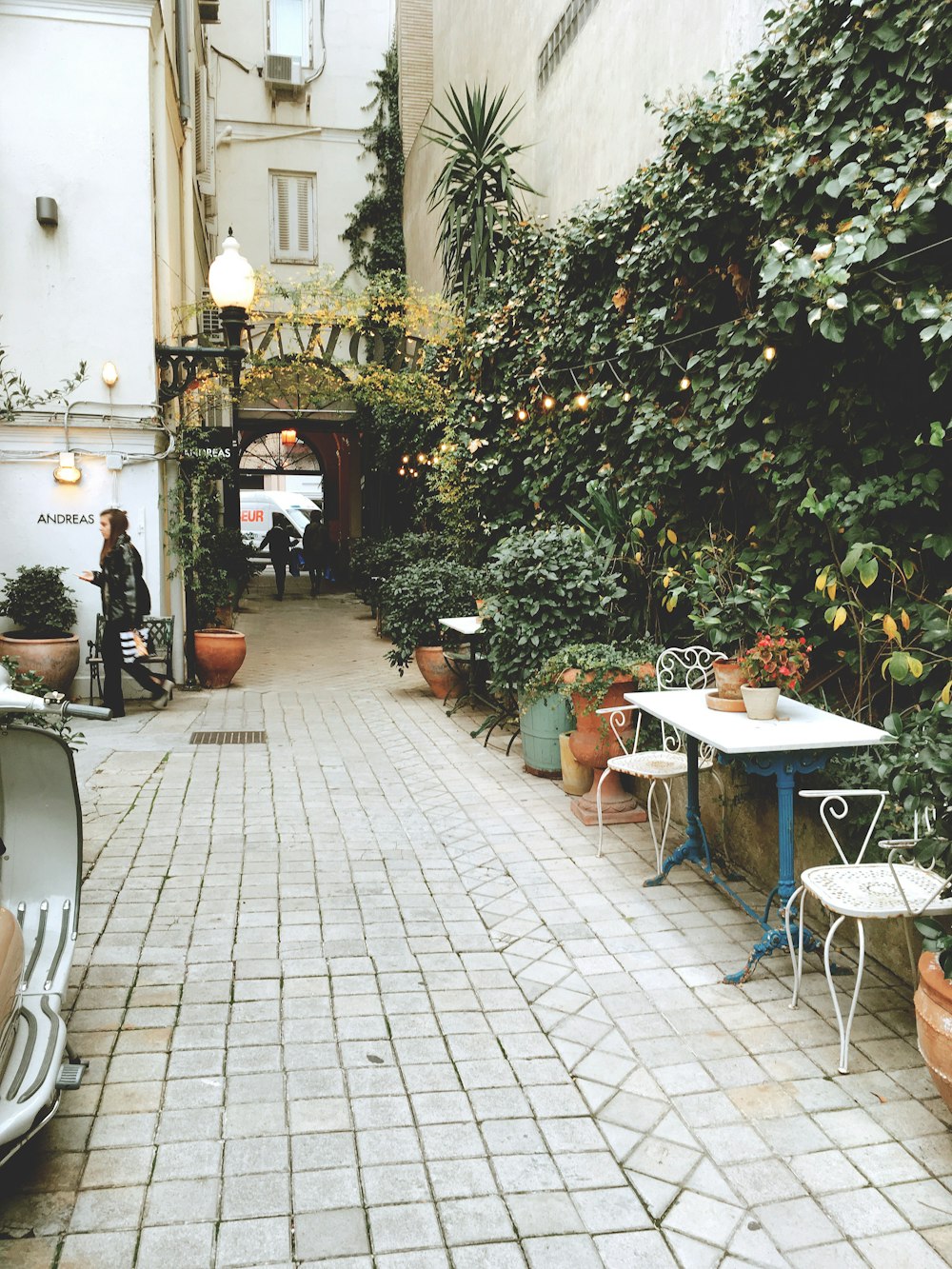 rectangular table near green-leafed plants