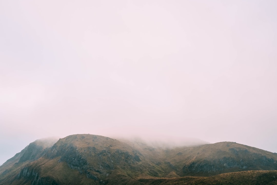 mountains surrounded with fogs