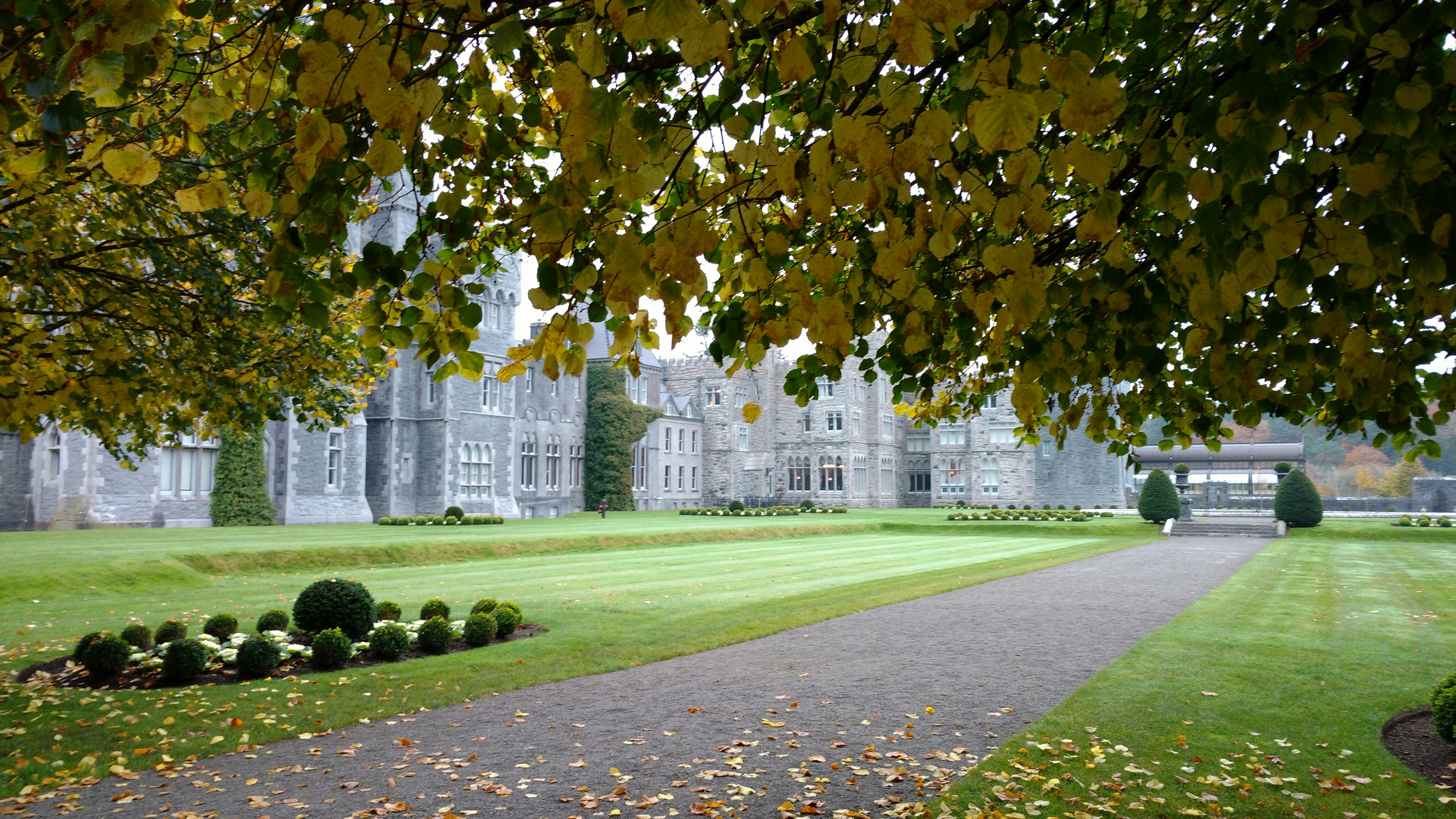 Beautiful seasonal garden landscape with autumn foliage and well-maintained grounds