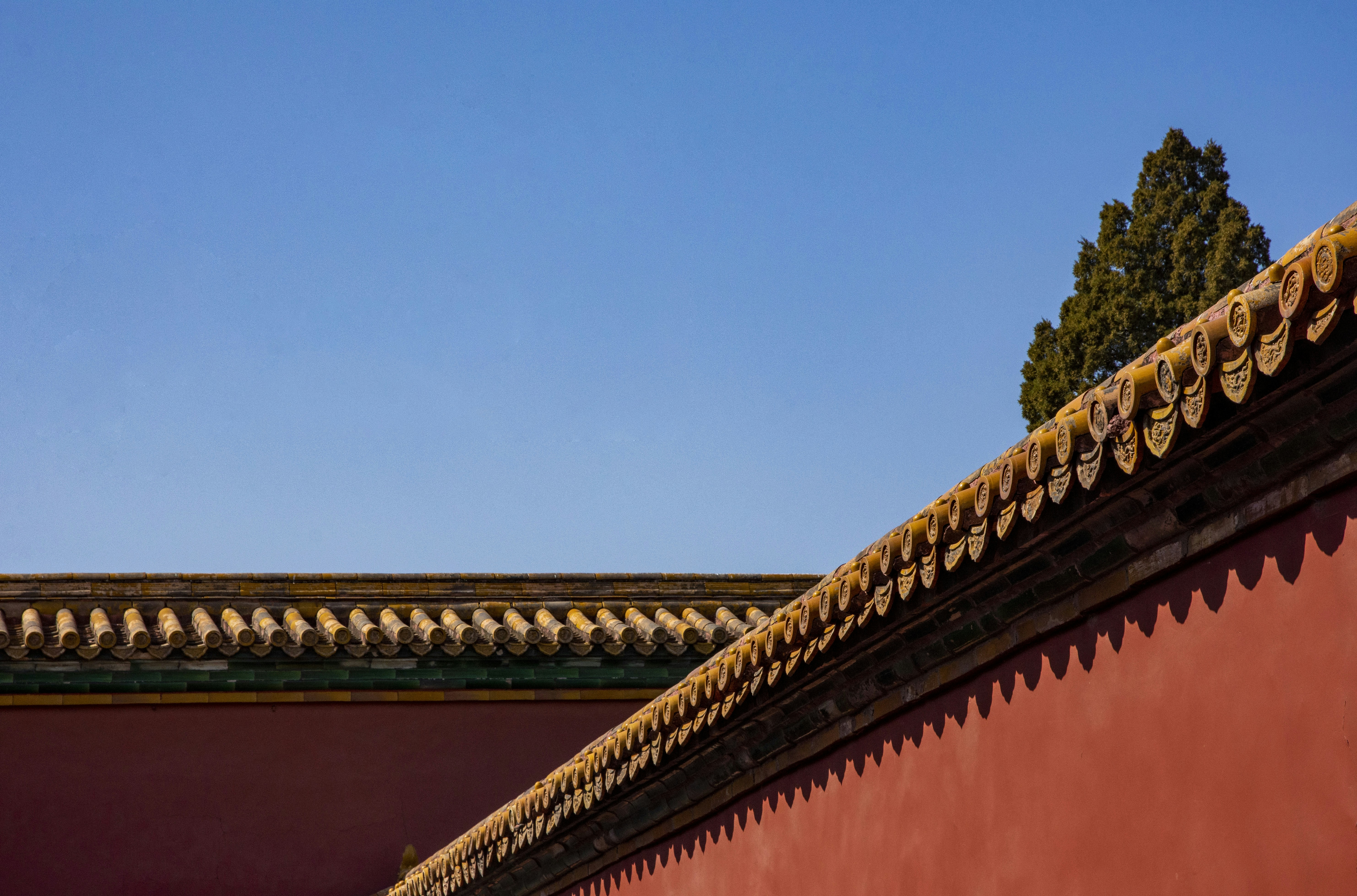 Photo by wind_knight