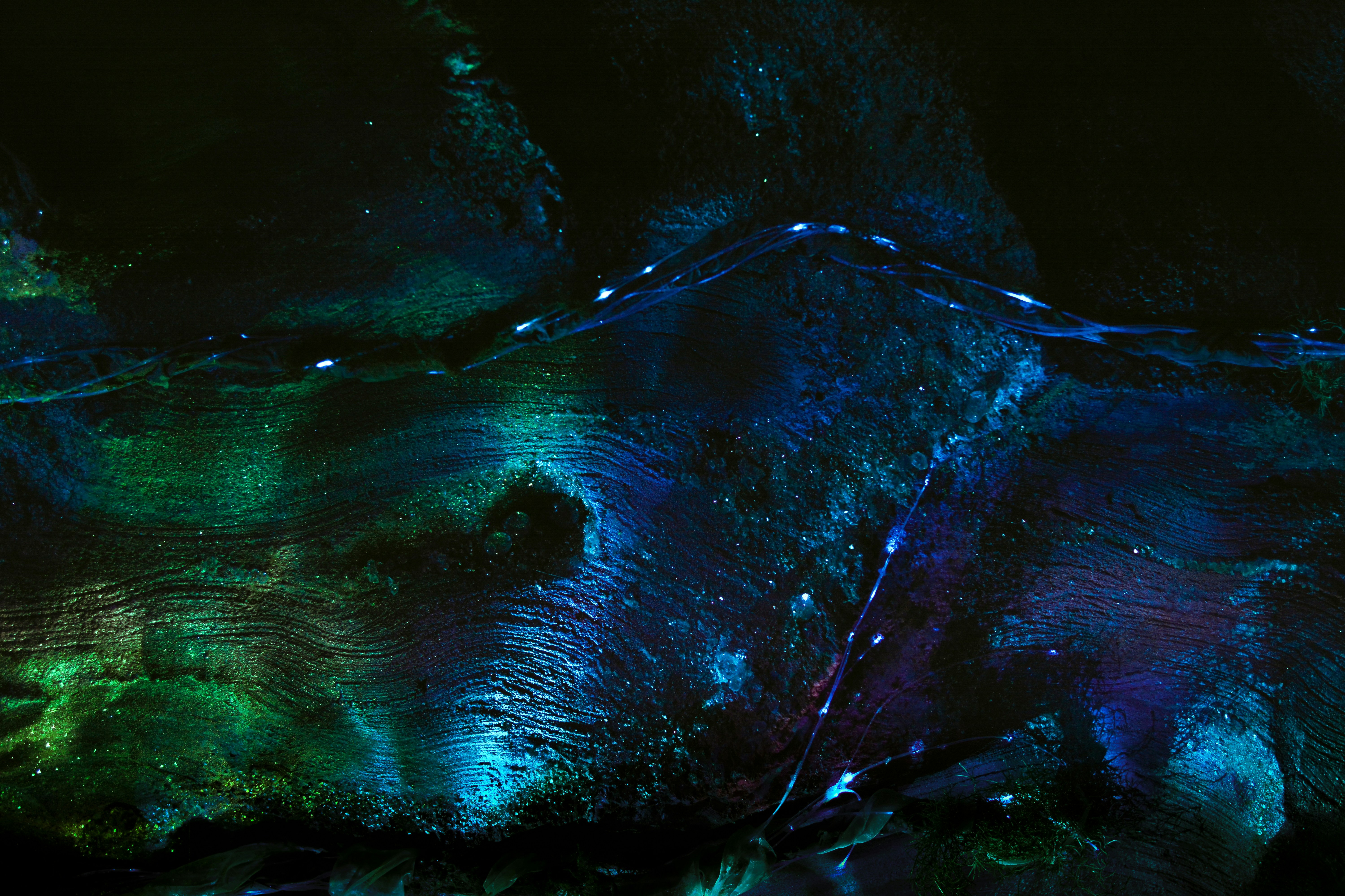 Photo by joel_m_peel